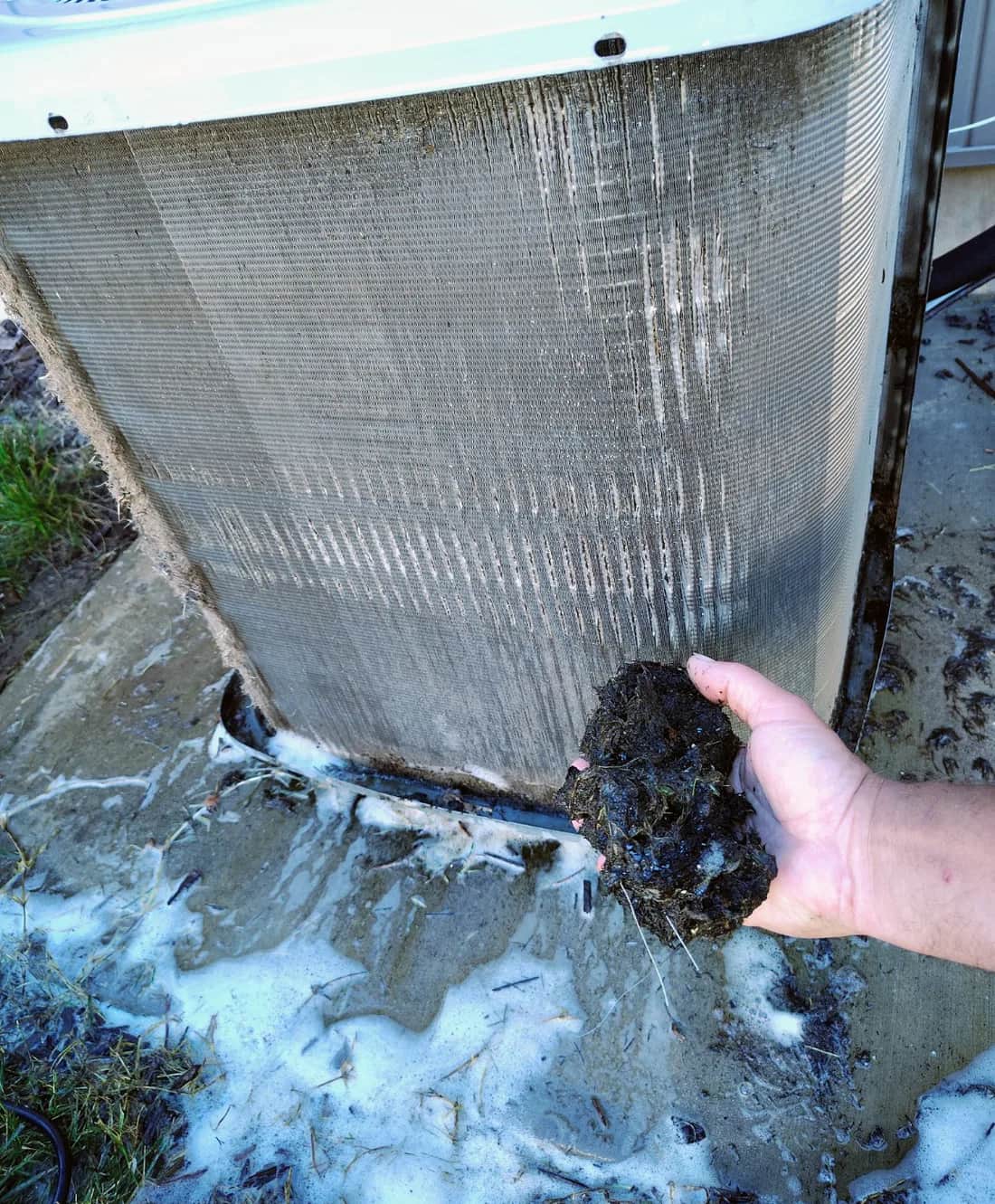 Debris removed from an outdoor condenser coil during cleaning