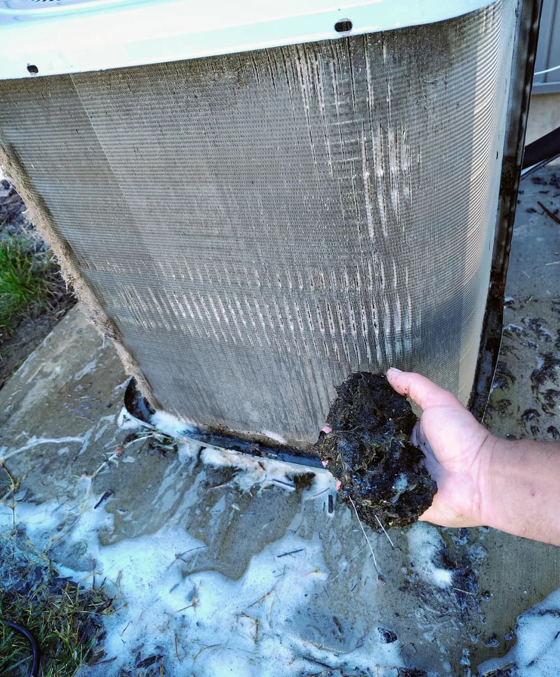 Debris removed from an outdoor condenser coil during cleaning